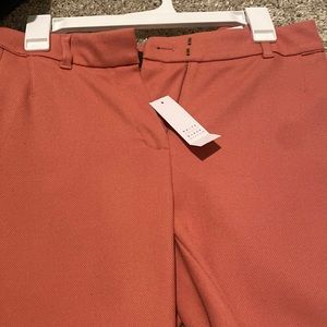 New with tags White House black market pants